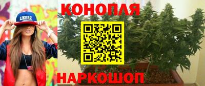 МДПВ Кингисепп