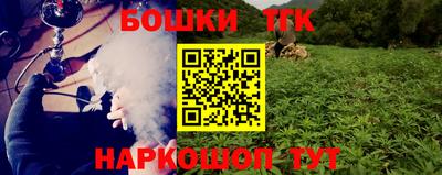 МДПВ Кингисепп