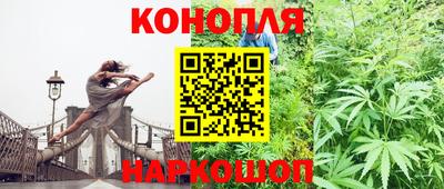 МДПВ Кингисепп