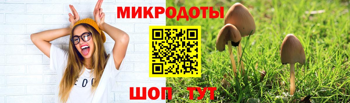 Галлюциногенные грибы мицелий  купить   Донецк  Вход с VPN 